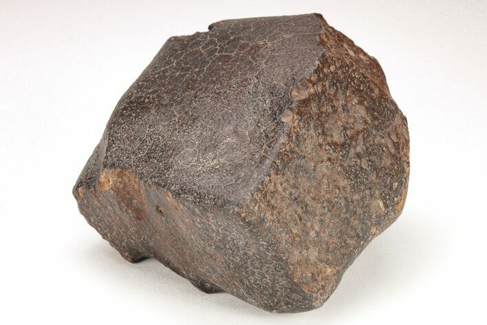 Chondrite Meteorite ( g) - Western Sahara Desert #208168